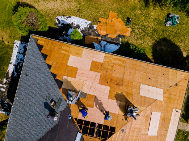Best Roof Gutter Cleaning  in Westminster, LA